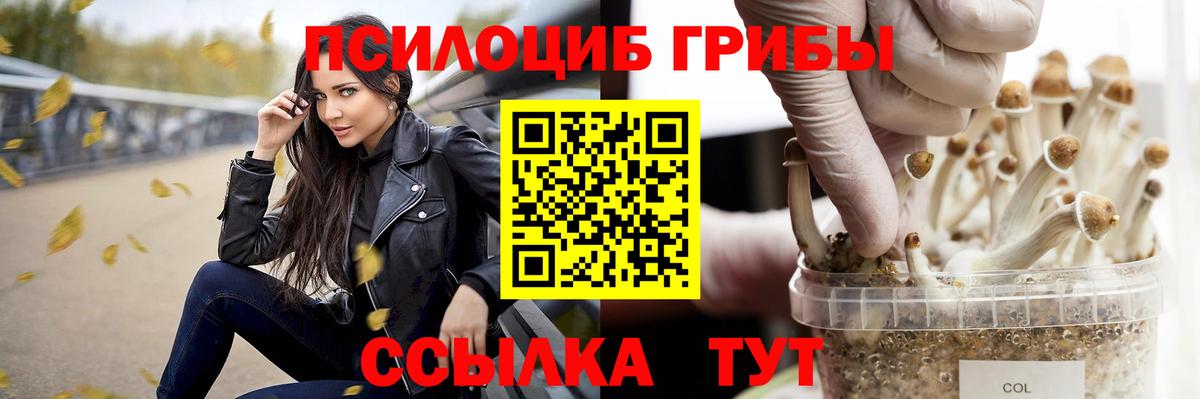 Псилоцибиновые грибы Psilocybe  Вход с VPN  Борзя 